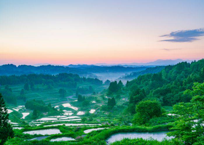 Hoshitoge rice terraces at sunrise, stretching out into the horizon.